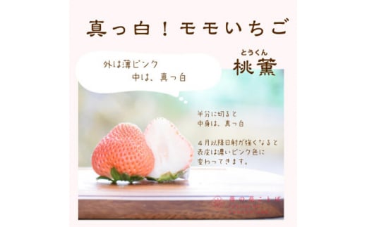 新潟県上越市のふるさと納税 いちご 新潟 雪国完熟越後姫桃薫 約200g×2P食べ比べセット イチゴ 苺 お取り寄せ ギフト 贈り物 上越