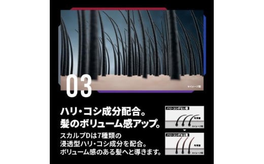 和歌山県かつらぎ町のふるさと納税 スカルプD　薬用スカルプシャンプー　オイリー [脂性肌用]｜シャンプー メンズ 薬用 ヘアケア