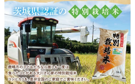 茨城県鹿嶋市のふるさと納税 【令和6年産】鹿嶋市の子どもたちが食べている特別栽培米コシヒカリ（5kg×1袋）【お米 米 こしひかり 特別栽培 有機肥料 有機栽培 鹿嶋市 茨城県 白米 新米 おにぎり ごはん 15000円以内】(KBS-6)