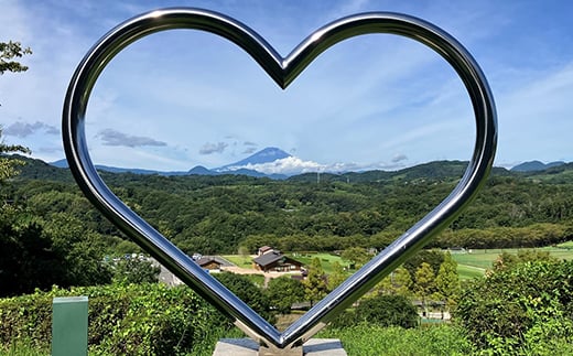 神奈川県中井町のふるさと納税 えごま油　4本セット【1058246】