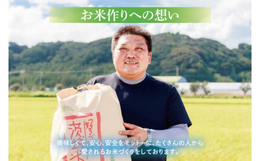 茨城県鹿嶋市のふるさと納税 【令和6年産】鹿嶋市の子どもたちが食べている特別栽培米コシヒカリ（5kg×1袋）【お米 米 こしひかり 特別栽培 有機肥料 有機栽培 鹿嶋市 茨城県 白米 新米 おにぎり ごはん 15000円以内】(KBS-6)