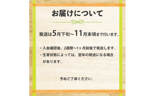 ピーマン＞1kg さらら 高知 野菜 夏 苦みが少ない 佐川町産