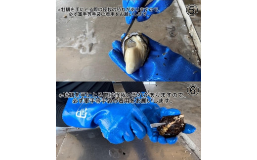 ⑤同様に下殻に残った貝柱を断ち切り、殻から身を取り出しお召し上がりください。⑥貝柱は牡蠣中心部辺りにあります。