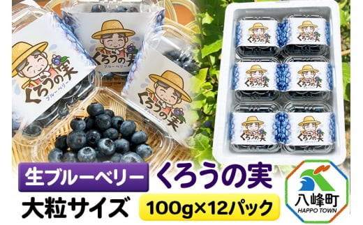 【2025年収穫先行受付】生ブルーベリー(大粒)「くろうの実」 100g×12パック 1437118 - 秋田県八峰町