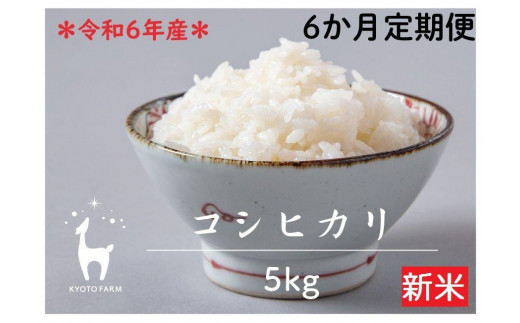 〈6か月定期便〉【京都ファーム】令和6年産 京都ファームのコシヒカリ ５kg 1437140 - 京都府京都市