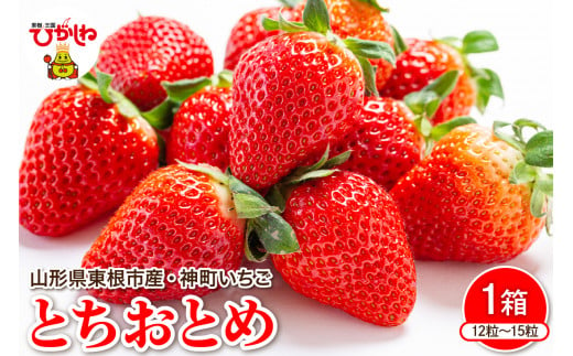 【令和7年産　先行予約】神町いちご（とちおとめ）12粒～15粒 山形県 東根市　hi069-007-1