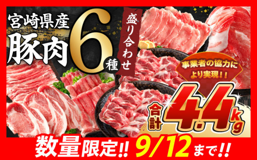 【令和7年3月配送】数量限定 豚肉 6種 盛り合わせ セット 合計4.4kg 豚 小分け 豚バラ 豚ロース 期間限定 国産 食品 人気 おかず 焼肉 しゃぶしゃぶ 豚丼 食べ比べ 料理に大活躍 使い勝手抜群 選べる配送月 送料無料_CA51-24-ZO-03 1434441 - 宮崎県日南市