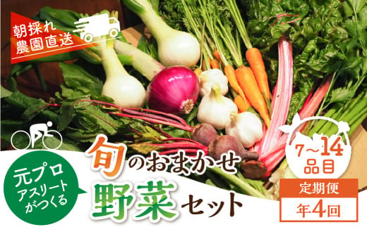 【定期便】年4回お届け 季節の野菜セット 7～14品目 品目おまかせ のため 訳あり 訳アリ BBQ 春 夏 秋 冬 野菜 岐阜県産 本巣市 朝採り 産地直送 新鮮 数量限定 冷蔵 めぐるファーム 1437660 - 岐阜県本巣市