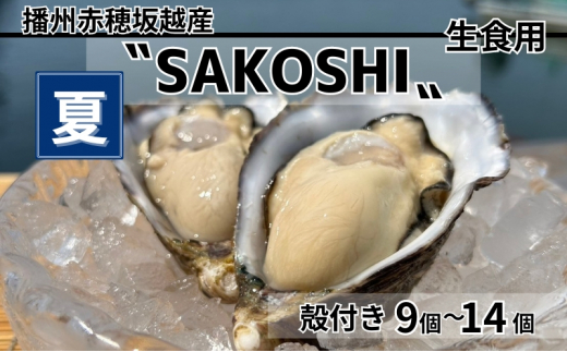 牡蠣 SAKOSHI 生食用 殻付き 9個～14個 牡蠣ナイフ付き [ 坂越かき プレミアム 生牡蠣 夏牡蠣 かき カキ 三倍体 ]