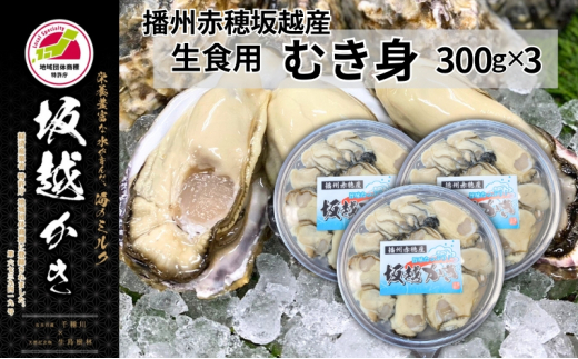 牡蠣 坂越かき 生食用 むき身 300g×3個 (計900g)[ 生牡蠣 冬牡蠣 かき カキ 真牡蠣 ]