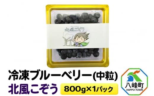 冷凍ブルーベリー(中粒)「北風こぞう」 800g×1パック 1437115 - 秋田県八峰町