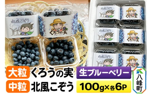 【2025年収穫先行受付】生ブルーベリー(大粒)「くろうの実」＆(中粒)「北風こぞう」セット 各100g×6パック 計12パック 1437119 - 秋田県八峰町