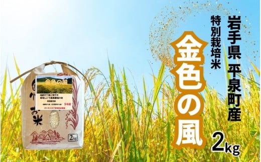 【10日以内発送*土日祝除く】【令和5年産】平泉町産 特別栽培米　金色の風 2kg / 6000円 6千円 六千円 米 お米 こめ 白米 精米 ブランド米 50％減薬 体に優しい 岩手 東北 おにぎり お弁当 ギフト プレゼント お祝い ギフト プレゼント ご挨拶 挨拶 敬老の日 おじいちゃん おばあちゃん いつもありがとう 感謝 1436879 - 岩手県平泉町