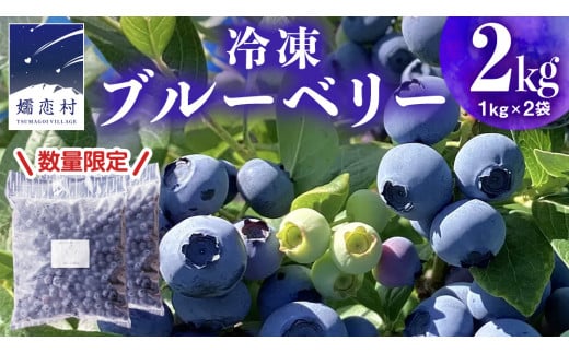 【数量限定】 冷凍ブルーベリー 2kg ( 1kg × 2袋 ) ブルーベリー 冷凍 中粒 厳選 フルーツ 産地直送 群馬県 国産 [AT011tu] 1437138 - 群馬県嬬恋村