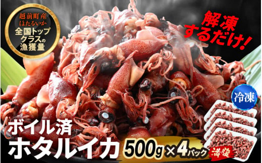 解凍するだけ ! 越前町産 ボイル済 ホタルイカ 満腹 計2kg（500g × 4P） 急速凍結 冷凍 ほたるいか 全国トップクラスの漁獲量【茹で ボイル 日本海 いか イカ 烏賊 福井県 魚介 海鮮 惣菜 さかな おつまみ 酒の肴 お取り寄せ グルメ 宅飲み 小分け 日常使い おすそわけ ギフト】 [e15-a055]