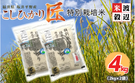 [先行予約][令和6年産・新米]農薬・化学肥料不使用 コシヒカリ匠 4kg (2kg × 2袋)(白米)[2024年10月上旬以降順次発送予定] [A-2945_01]