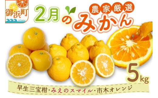 2月の御浜柑橘　みかん詰め合わせ5キロ 果物 フルーツ みかん 市木オレンジ みえのスマイル 早生三宝柑 三宝柑 詰め合わせ 5kg 冬 