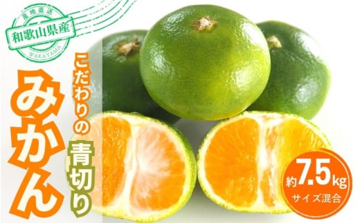 【2025年秋頃発送予約分】こだわりの青切りみかん　約7.5kg  有機質肥料100%　 サイズ混合　※2025年9月下旬より順次発送予定（お届け日指定不可）【nuk107D】