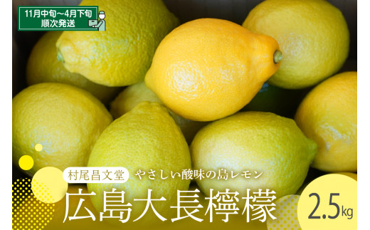 国産檸檬（レモン）発祥の地　広島大長檸檬　2.5kg　広島県産 瀬戸内 檸檬 レモン 生産量日本一の広島 産地直送 送料無料 果物 柑橘 フルーツ 12月初旬まではグリーンレモン それ以降はイエローレモン 呉市 フレッシュ 先行予約