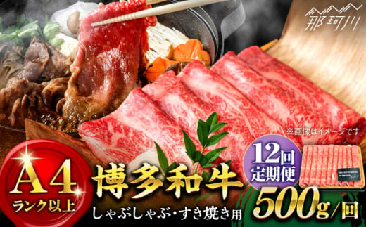 【全12回定期便】【和牛の旨味を堪能！】博多和牛しゃぶしゃぶすき焼き用 500g＜株式会社MEAT PLUS＞那珂川市 [GBW024] 302157 - 福岡県那珂川市