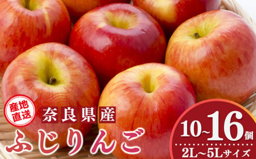  ふじりんご 10 個～16 個 2L～5L サイズ 1448859 - 奈良県五條市