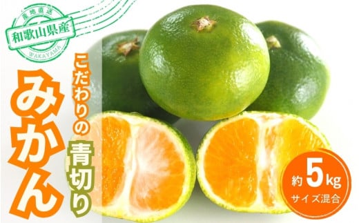 【2025年秋頃発送予約分】こだわりの青切りみかん　約5kg  有機質肥料100%　 サイズ混合　※2025年9月下旬より順次発送予定（お届け日指定不可）【nuk150B】