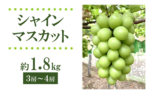 【令和6年産先行予約】 シャインマスカット 1.8kg以上 (3～4房 秀) 《令和6年9月上旬～発送》 『フナヤマ農園』 山形県 南陽市 [1628]