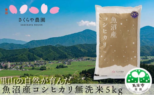 №5762-1164]【令和6年産 新米先行受付】【令和6年産】さくらや農園 魚沼産コシヒカリ 無洗米10kg（5kg×2袋） 米 こめ お米 コメ  こしひかり 無洗米 新潟県 魚沼市 魚沼 - 新潟県魚沼市｜ふるさとチョイス - ふるさと納税サイト