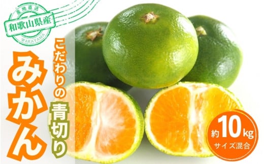 【2025年秋頃発送予約分】＼光センサー選別／ 【農家直送】こだわりの青切りみかん 約10kg  有機質肥料100%　 サイズ混合　※2025年9月下旬より順次発送予定（お届け日指定不可）【nuk108C】