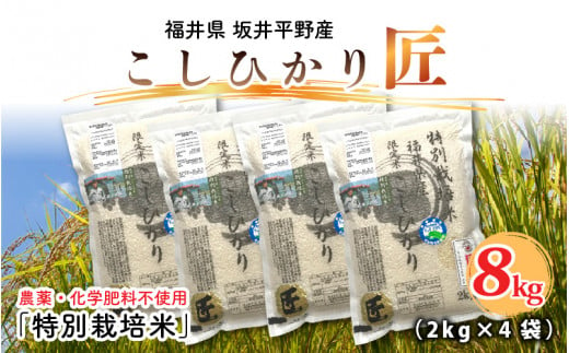 【先行予約】【令和6年産・新米】農薬・化学肥料不使用 コシヒカリ匠 8kg (2kg × 4袋)（白米）【2024年10月上旬以降順次発送予定】 [C-2919_01] 344072 - 福井県坂井市