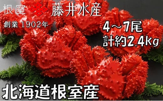 C-42080 【12月22日決済分まで年内配送】 【北海道根室産】ボイル花咲かに4～7尾(計約2.4kg) 361678 - 北海道根室市