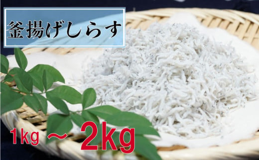 鮮度抜群 海の玄米 子供用 釜揚げ シラス 1~2kg 冷凍 小分け 個包装 大容量 しらす 海の玄米 魚介 海鮮 惣菜 おかず ご飯のお供 晩ごはん 弁当 便利 人気 ふるさと納税 MS012_xx