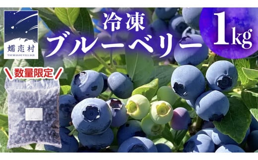 【数量限定】 冷凍ブルーベリー 1kg ブルーベリー 冷凍 中粒 厳選 フルーツ 産地直送 群馬県 国産 [AT010tu]  1437137 - 群馬県嬬恋村