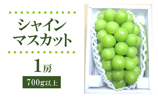 【令和6年産先行予約】 シャインマスカット 700g以上 (1房 秀) 《令和6年9月上旬～発送》 『フナヤマ農園』 山形県 南陽市 [1629]