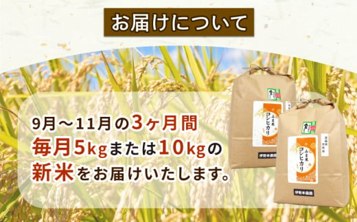 新米 定期便 3回 計15kg ~ 30kg 先行予約 特別栽培米 三間米 コシヒカリ 5kg or 10kg × 3回 選べる 伊勢本農園 特別栽培  米 お米 おこめ ごはん こめ コメ ※ kome 白米 精米 お弁当 ブランド米 ふっくら ライス