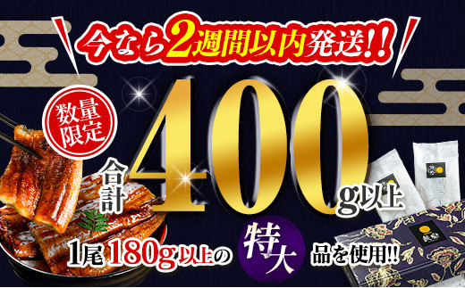 宮崎県新富町のふるさと納税 ＜特大＆最速便＞うなぎ 国産 鰻 蒲焼 数量限定 2尾 計400g以上 2週間以内に発送 無頭 魚介 贈答品 ギフト 丑の日 土用 ウナギ 鰻楽【B555】