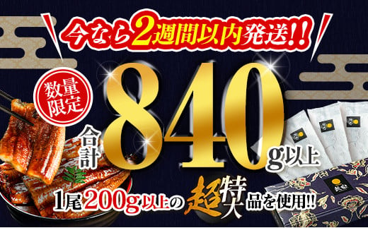 宮崎県新富町のふるさと納税 ＜超特大＆最速便＞うなぎ 国産 鰻 蒲焼 数量限定 4尾 計840g以上 2週間以内に発送 無頭 魚介 贈答品 ギフト 丑の日 土用 ウナギ 鰻楽【C388】