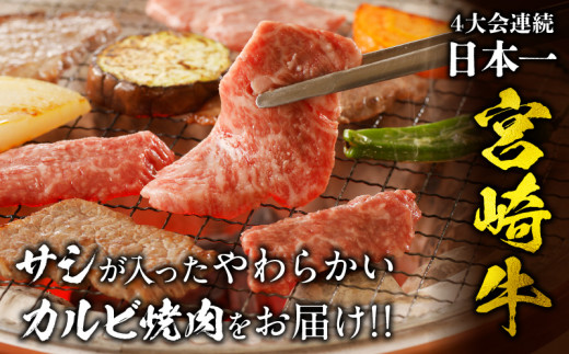 宮崎県宮崎市のふるさと納税 【12月発送】宮崎牛カルビ焼肉用500g_M243-004-dec