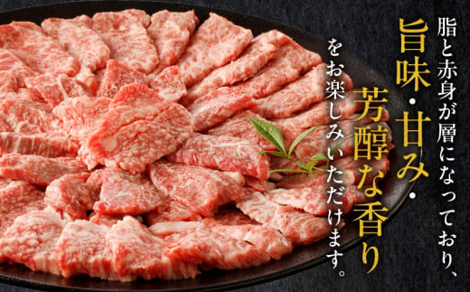 宮崎県宮崎市のふるさと納税 【12月発送】宮崎牛カルビ焼肉用500g_M243-004-dec