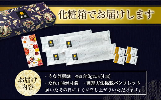 宮崎県新富町のふるさと納税 ＜超特大＆最速便＞うなぎ 国産 鰻 蒲焼 数量限定 4尾 計840g以上 2週間以内に発送 無頭 魚介 贈答品 ギフト 丑の日 土用 ウナギ 鰻楽【C388】