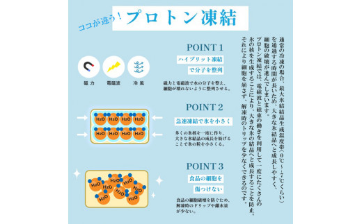 京都府舞鶴市のふるさと納税 【先行予約】 おせち 白木五段重 32品 3人前 フカヒレ・アワビ＆ お造り4種類 和風おせち 中華おせち 豪華おせち お刺身 お節 2025年 保存料不使用 お正月 お届け日指定 冷凍  京都 舞鶴 和食屋「凡愚」