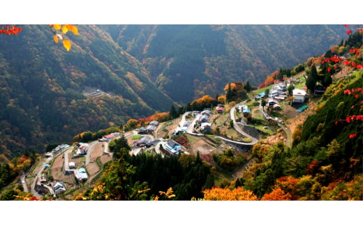 長野県飯田市のふるさと納税 ＜ ワイン の おつまみ にも オススメ ＞ 市田柿 フロマージュ 200g _ 柿 干し柿 干しがき 果物 フルーツ 干柿 おやつ お菓子 【1033712】