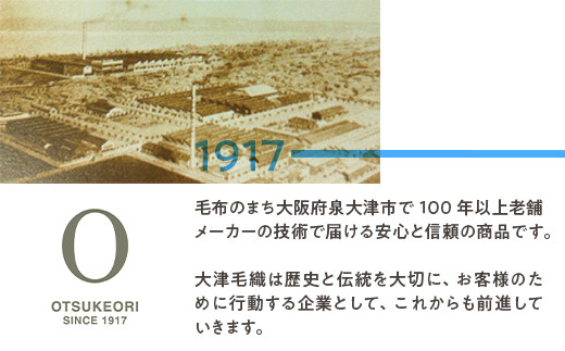 大阪府泉大津市のふるさと納税 朱子織シルクサテン生地を使った シルク枕パッド 43×63cm ホワイト 1枚 SCC-4363｜シルク100% 絹100% 枕カバー 美肌 美髪 ヘアケア [3226]