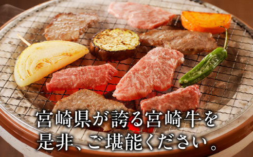 宮崎県宮崎市のふるさと納税 【12月発送】宮崎牛カルビ焼肉用500g_M243-004-dec