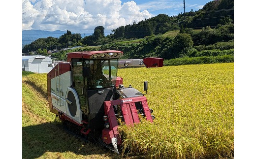 長野県中川村のふるさと納税 信州産コシヒカリ「桃つや米」10㎏