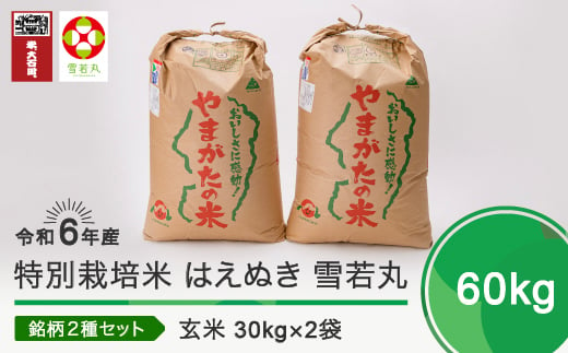 新米 令和7年2月上旬発送 はえぬき 雪若丸 各30kg 計60kg 玄米 令和6年産 ja-hygxb60-2f 416919 - 山形県大石田町