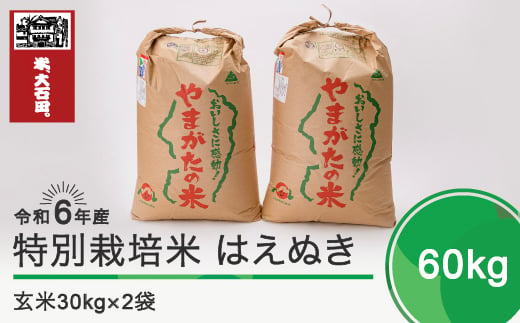 新米 令和7年3月下旬発送 はえぬき60㎏ 玄米 令和6年産 ja-hagxb60-3s 416853 - 山形県大石田町