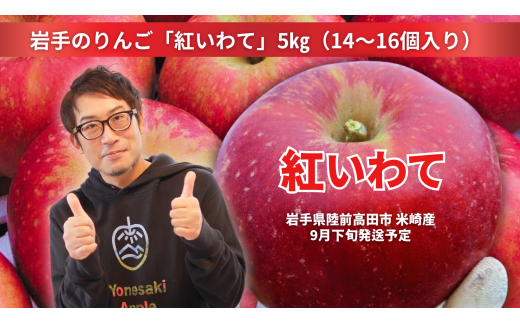 先行予約 【奇跡の果実】 米崎りんご 紅いわて 5kg 【 リンゴ 岩手県オリジナル品種 旬 新鮮 お届け 岩手 陸前高田 】2025年9月下旬以降発送予定 RT2546