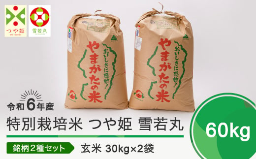 新米 令和7年4月下旬発送 つや姫 雪若丸 各30kg 計60kg 玄米 令和6年産 ja-tygxb60-4s 430402 - 山形県大石田町