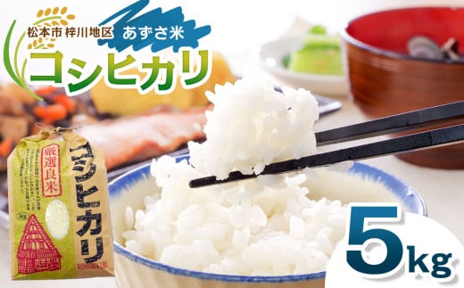 「あずさ米」コシヒカリ5kg│信州 長野県 松本市 コシヒカリ 5kg 米 こめ コメ 白米 精米 お取り寄せ 贈答 ごはん 贈り物 風味 1414977 - 長野県松本市